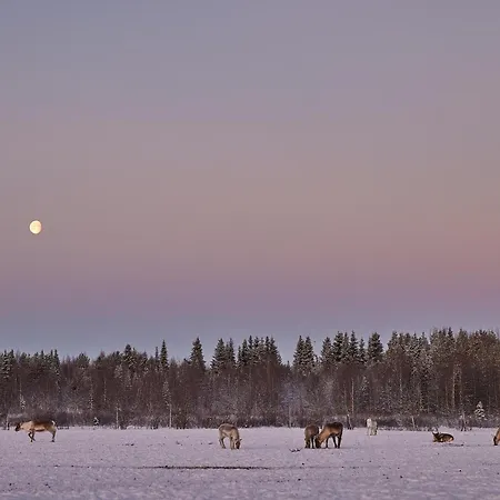 Casa vacanze North - The House Of Northern Lights